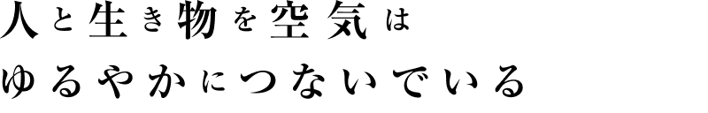 人と生き物を空気はゆるやかにつないでいる